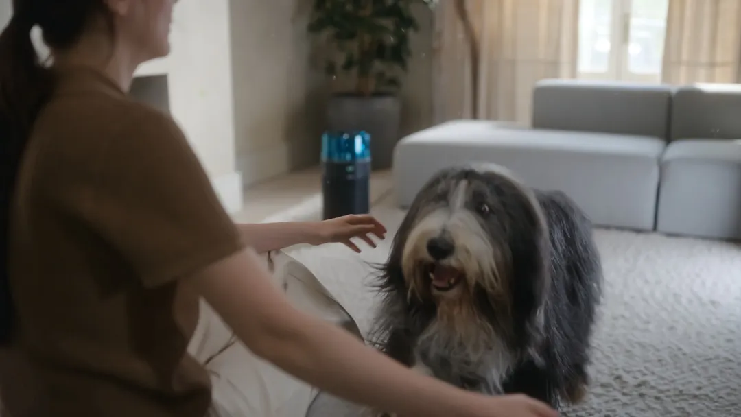 Alla studentrabatter hos Dyson