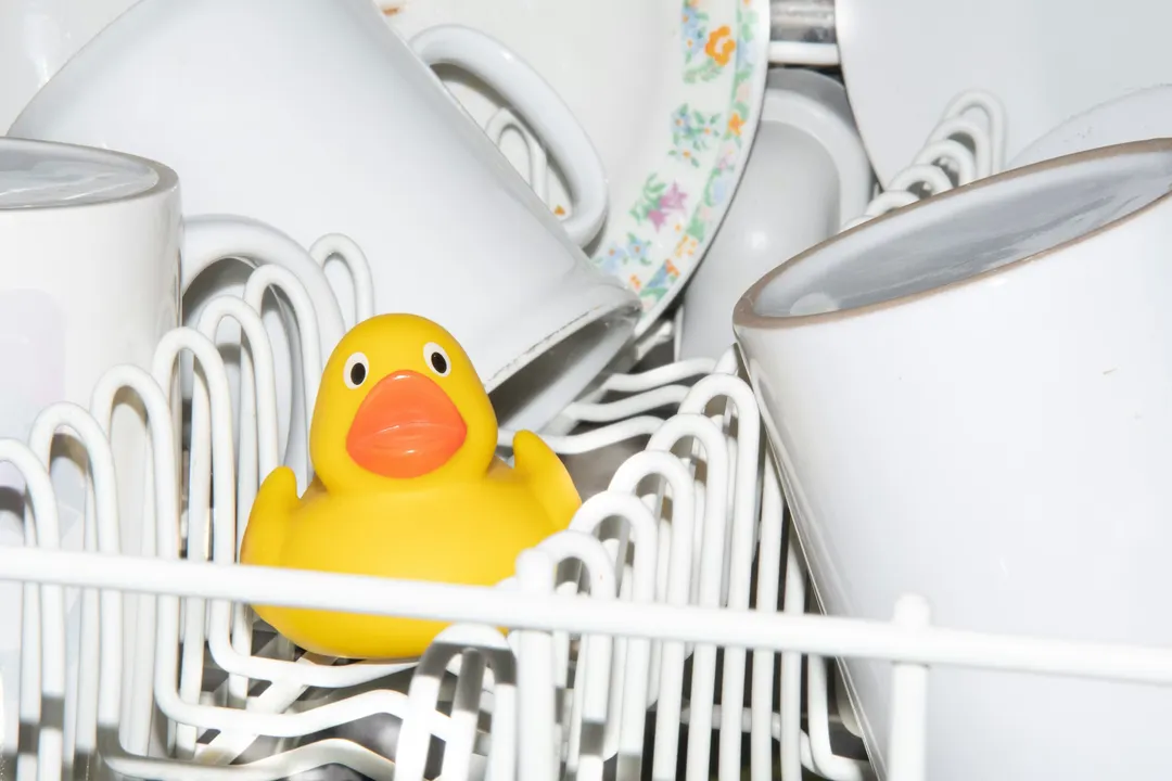 Alla studentrabatter hos Go-clean