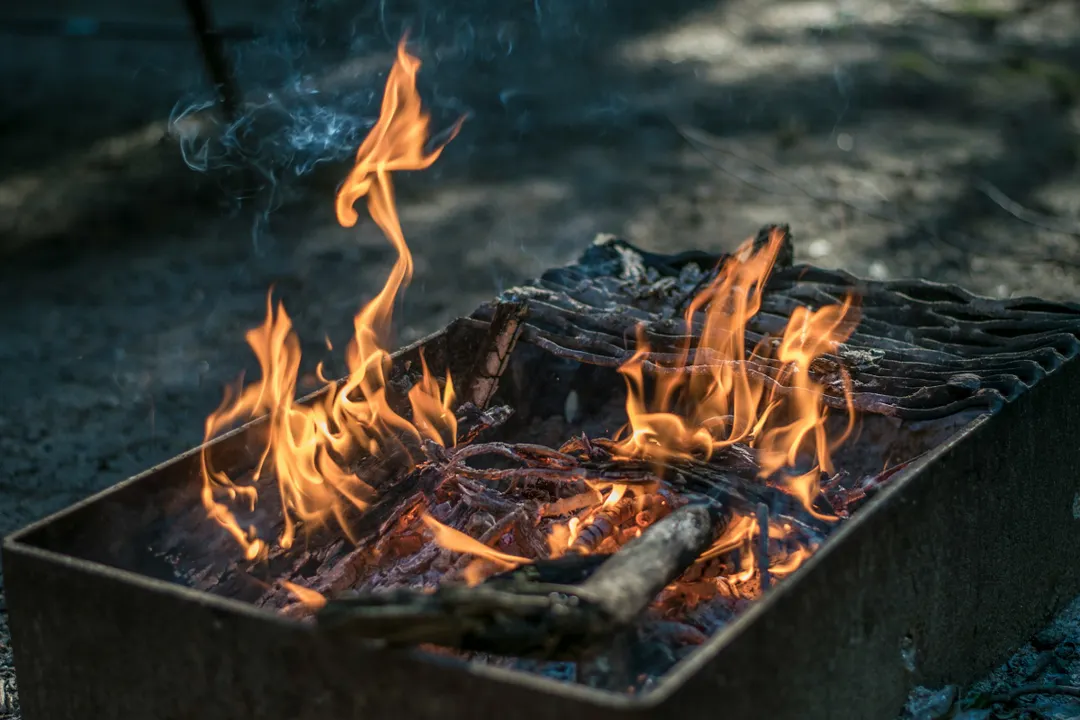 Alla studentrabatter hos Mangal B.B.Q