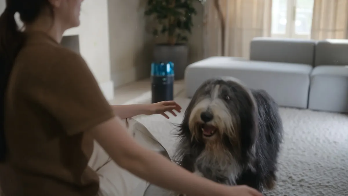 Erbjudande med studentrabatt från Dyson