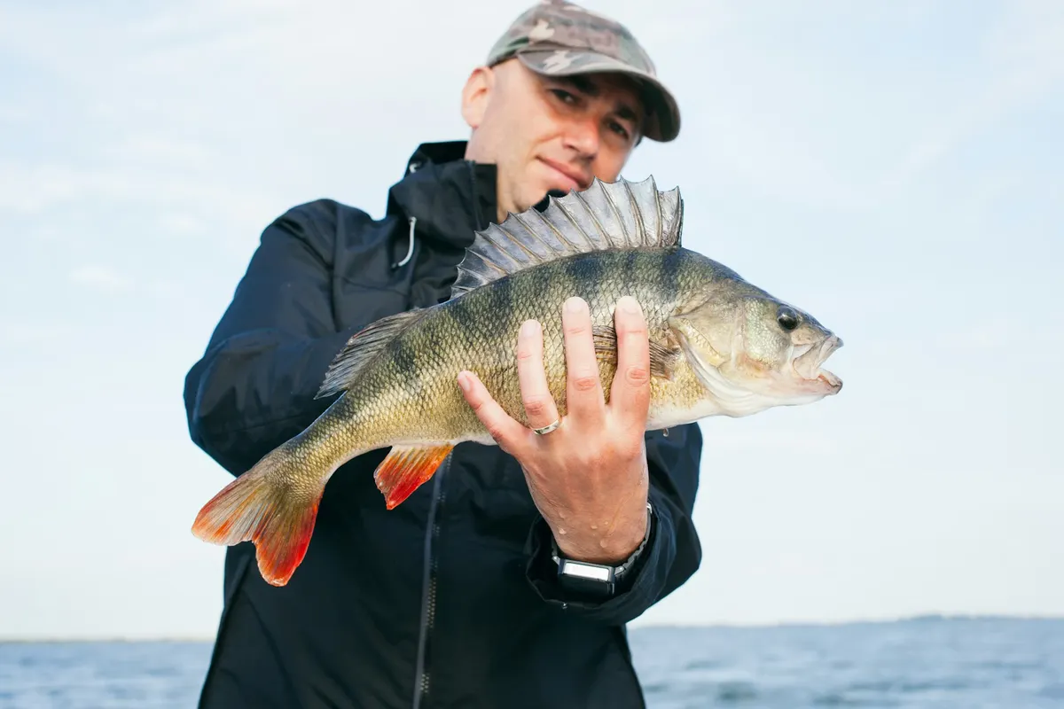 Erbjudande med studentrabatt från Fiske.se