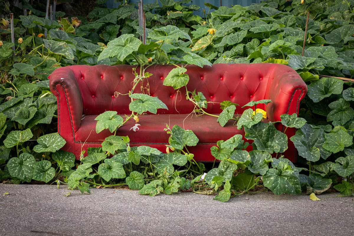 Erbjudande med studentrabatt från Tiptapp