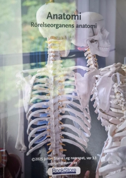 Anatomi Rörelseorganens anatomi; Johan Starre; 2023