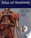 Atlas of anatomy; Anne M. Gilroy, Brian R. MacPherson, Lawrence M. Ross; 2008