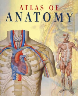 Atlas of anatomy; Giovanni Iatzzetti; 2006