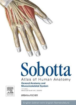 Atlas of human anatomy. Vol. 1 ; Friedrich Paulsen, Jens Waschke; 2013