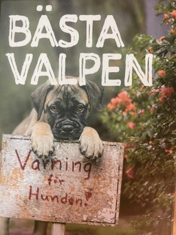 Bästa valpen - Så startar du med valp för ett härligt hundliv!; Maria Brandel, Siv Svendsen; 2022