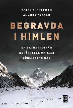 Begravda i himlen; Amanda Padoan, Peter Zuckerman; 2013