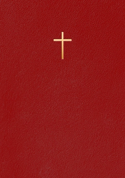 Bibel 2000 : Röd Hårdband; Jonatan Knutes; 2024