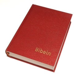 Bibeln konstskinn normal; nya inlagan Bibel 2000; 2022