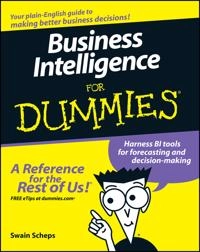 Business Intelligence For Dummies; Alan R. Simon; 2008