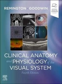 Clinical anatomy and physiology of the visual system; Lee Ann Remington; 2022