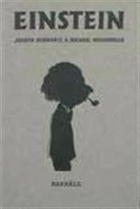 Einstein för envar; Michael McGuiness, Joseph Schwartz; 2000