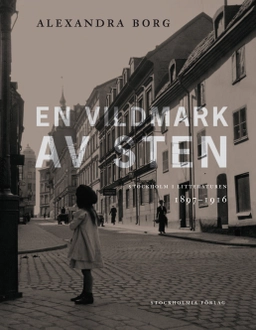 En vildmark av sten : Stockholm i litteraturen 1897-1916; Alexandra Borg; 2011