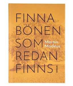 Finna bönen som redan finns; Martin Modéus; 2020