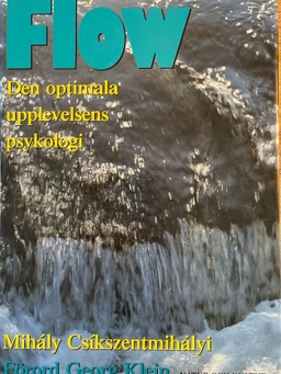 Flow; M Csikszentmihalyi; 1992