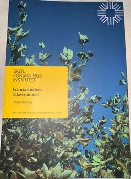 Främja studiero i klassrummet : lärares ledarskap; Elín Hafsteinsdóttir, Alva Appelgren, Maria Bergman, Catarina Melin, Annika Lilja, Marcus Samuelsson, Eva Bergman, Skolforskningsinstitutet; 2021
