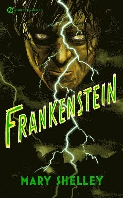 Frankenstein; Mary Shelley; 2013