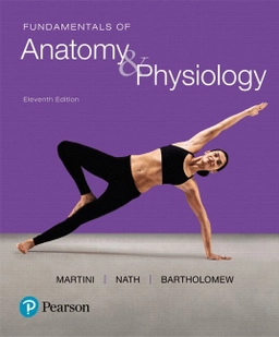 Fundamentals of anatomy & physiology; Frederic Martini, Judi Lindsley Nath, Edwin F. Bartholomew, William C. Ober, Claire E. Ober, Kathleen Welch, R. T. Hutchings; 2018