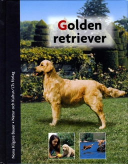 Golden retriever; Nona Kilgore Bauer; 2002