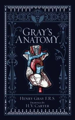 Gray's Anatomy; Henry Gray, Robert Howden, T Pick P, T Pickering Pick; 2018
