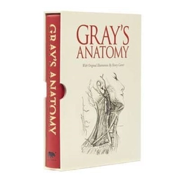 Grays Anatomy; Henry Gray; 2013