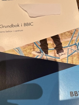 Grundbok i BBIC : barns behov i centrum; Sverige. Socialstyrelsen, Sverige. Medicinalstyrelsen; 2015