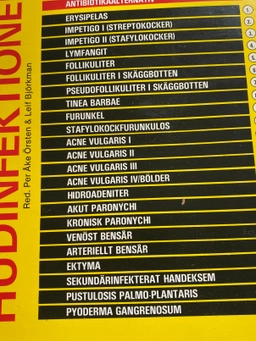 Hudinfektioner; Leif Björkman, Per Åke Örsten; 1985