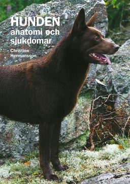 Hunden : anatomi och sjukdomar; Christin Hermansson; 2006
