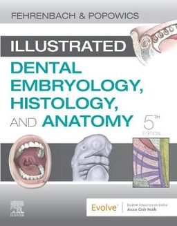 Illustrated dental embryology, histology, and anatomy; Margaret J. Fehrenbach; 2020