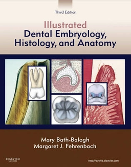 Illustrated dental embryology, histology, and anatomy; Mary Bath-Balogh; 2011
