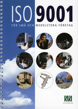 ISO 9001 för små och medelstora företag; Internationella experter inom ISO-kommitéen för kv; 2002