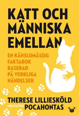 Katt och människa emellan : en känslomässig faktabok baserad på verkliga händelser; Therese Lilliesköld; 2019