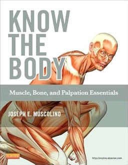 Know the Body: Muscle, Bone, and Palpation Essentials; Joseph E Muscolino; 2011