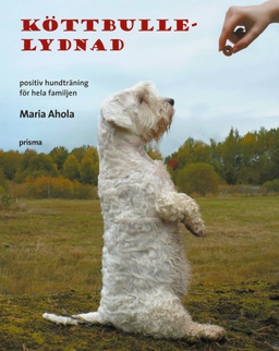 Köttbullelydnad : positiv hundträning för hela familjen; Maria Ahola; 2008