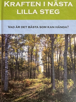 Kraften i nästa lilla steg : vad är det bästa som kan hända?; Rayya Ghul; 2018