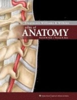 Lippincott Williams & Wilkins' Atlas of anatomy; Patrick W. Tank; 2009