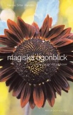 Magiska ögonblick : psykoterapi vid psykoser; H Sitter Randen; 2005