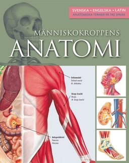 Människokroppens anatomi; Ken Red Ashwell; 2022
