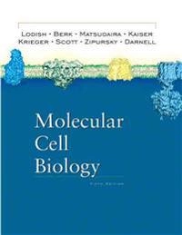 Molecular cell biology; Harvey F. Lodish; 2003