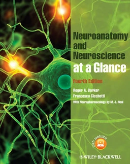 Neuroanatomy and Neuroscience at a Glance; Roger A. Barker, Francesca Cicchetti; 2012