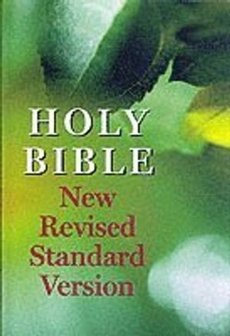 New Revised Standard Version Bible; Oxford University Press; 2001