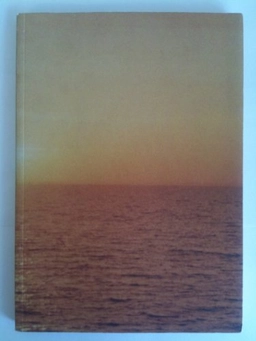 Om det sublima - Volym 31 av Exhibition Catalogue Rooseum catalogue, ISSN 1100-3715; Liesbeth Bik, Camilla Ericsson, Kjersti Board, Joyce George; 1999
