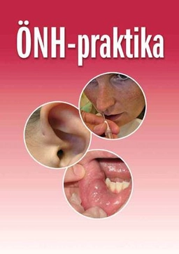 ÖNH-praktika; Stefan Engquist; 2006