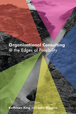 Organisational Consulting: A Relational Perspective; John Higgins; 2007