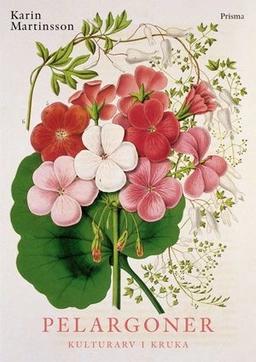 Pelargoner; Karin Martinsson; 2000