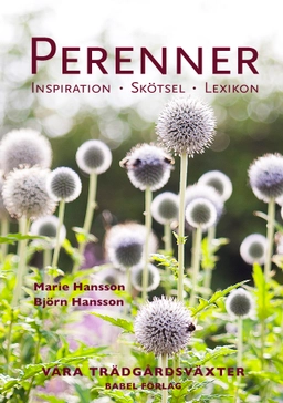Perenner : Inspiration - Skötsel - Lexikon; Marie Hansson, Björn Hansson; 2022