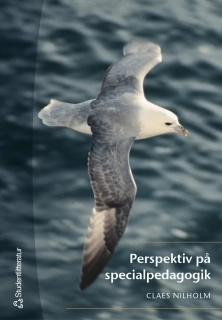 Perspektiv på specialpedagogik; Claes Nilholm; 2003