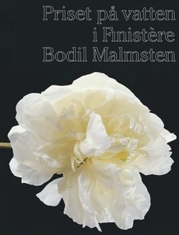 Priset på vatten i Finistère; Bodil Malmsten; 2001