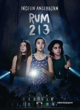 Rum 213; Ingelin Angerborn; 2017